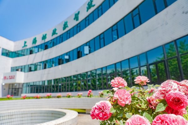 寻牛堂 让数据多跑路、群众少跑腿，上海邮政数智政务中心打造便民服务新标杆