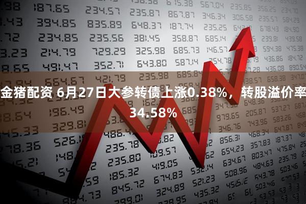 金猪配资 6月27日大参转债上涨0.38%，转股溢价率34.58%