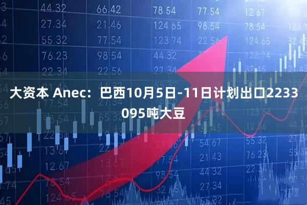 大资本 Anec：巴西10月5日-11日计划出口2233095吨大豆
